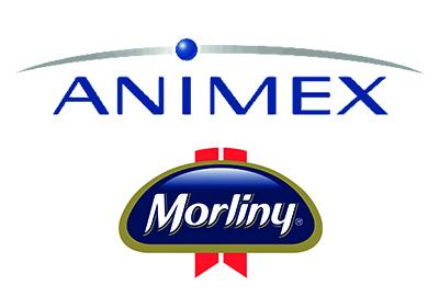 animex morliny logo